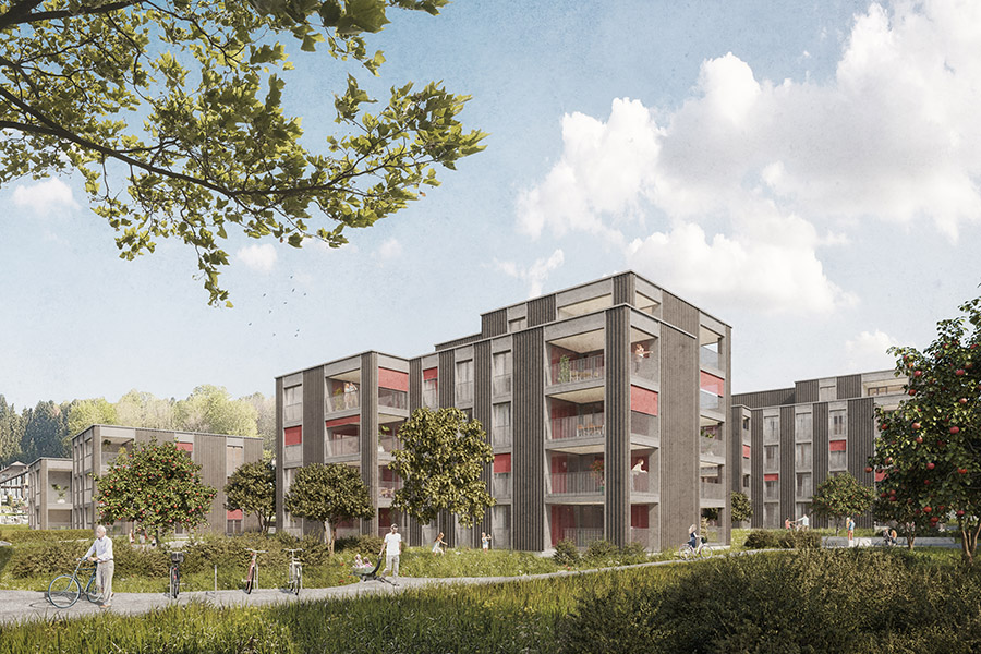 buan architekten – Studienauftrag Areal Schuetzenmatt Inwil – Visualisierung