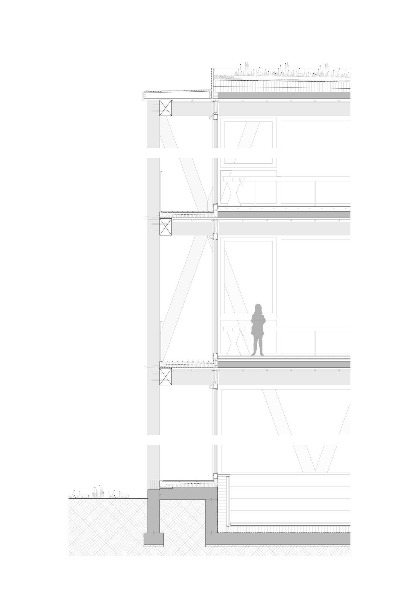 buan architekten - Ersatzneubau Schulhaus Zentrum Diessenhofen - Fassadenschnitt